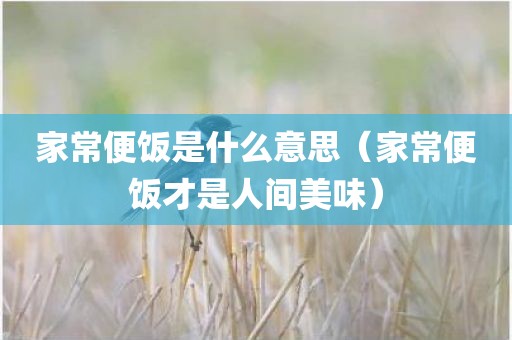 家常便饭是什么意思（家常便饭才是人间美味）
