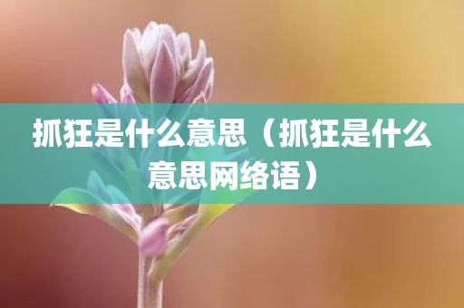 抓狂是什么意思（抓狂是什么意思网络语）