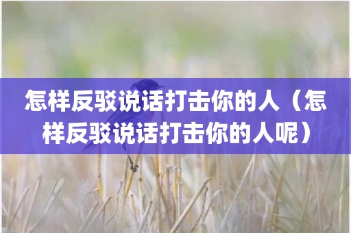怎样反驳说话打击你的人（怎样反驳说话打击你的人呢）