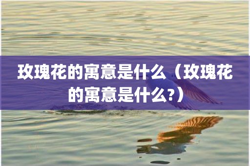 玫瑰花的寓意是什么（玫瑰花的寓意是什么?）