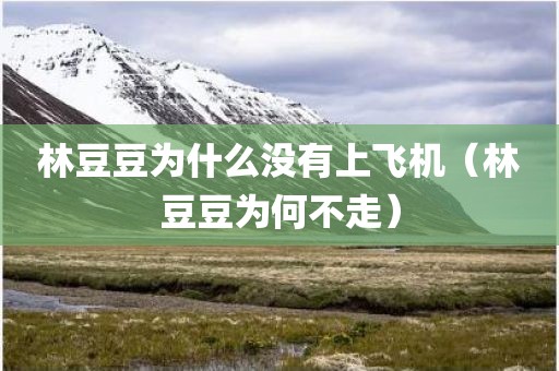 林豆豆为什么没有上飞机（林豆豆为何不走）