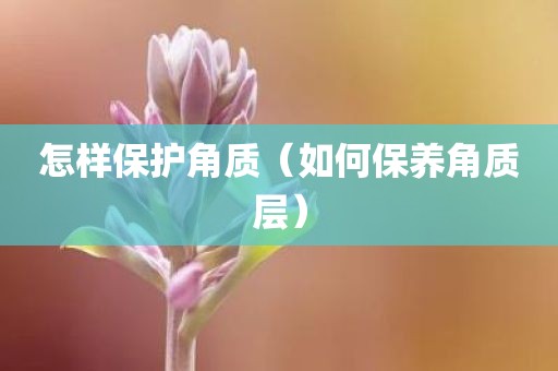 怎样保护角质（如何保养角质层）