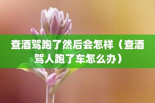 查酒驾跑了然后会怎样（查酒驾人跑了车怎么办）