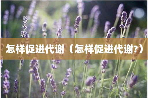 怎样促进代谢（怎样促进代谢?）