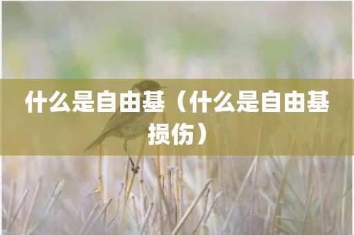 什么是自由基（什么是自由基损伤）