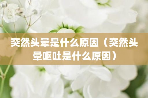 突然头晕是什么原因（突然头晕呕吐是什么原因）