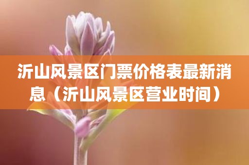 沂山风景区门票价格表最新消息(沂山风景区营业时间)