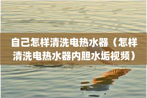 自己怎样清洗电热水器（怎样清洗电热水器内胆水垢视频）