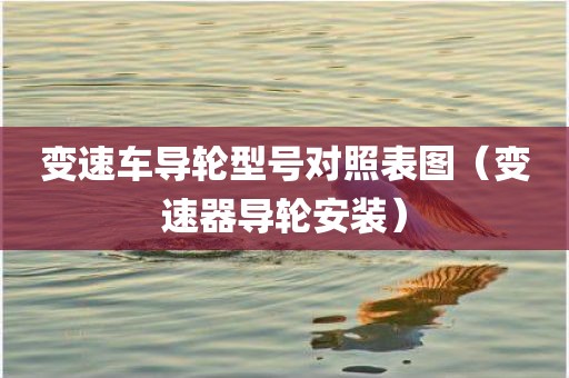 变速车导轮型号对照表图（变速器导轮安装）
