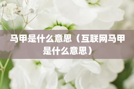 马甲是什么意思（互联网马甲是什么意思）