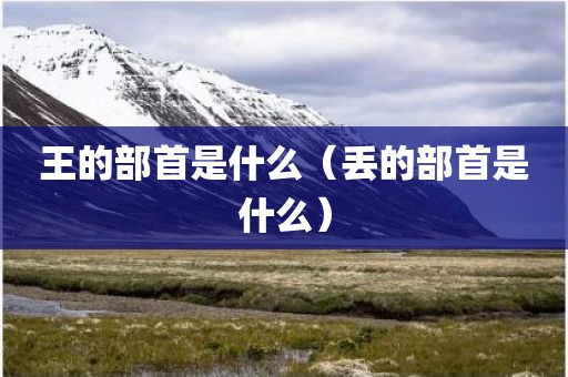 王的部首是什么（丢的部首是什么）