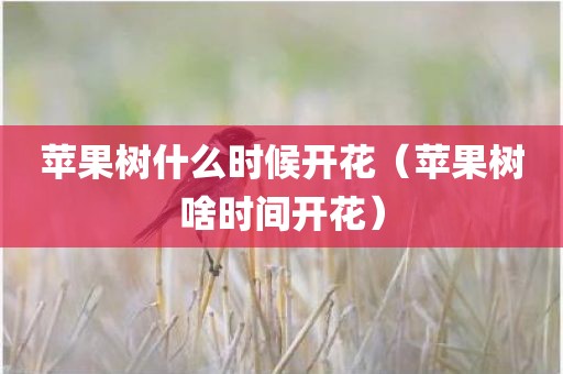 苹果树什么时候开花（苹果树啥时间开花）