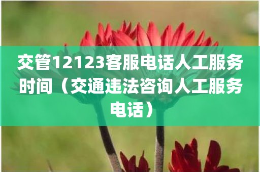 交管12123客服电话人工服务时间（交通违法咨询人工服务电话）