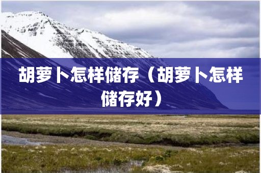 胡萝卜怎样储存（胡萝卜怎样储存好）