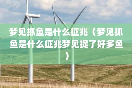 梦见抓鱼是什么征兆（梦见抓鱼是什么征兆梦见捉了好多鱼）