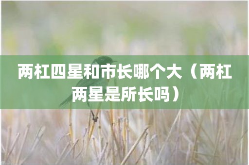 两杠四星和市长哪个大（两杠两星是所长吗）