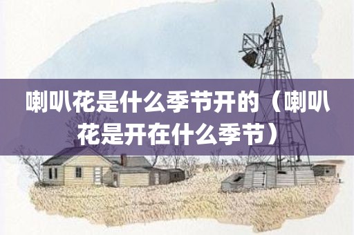 喇叭花是什么季节开的（喇叭花是开在什么季节）