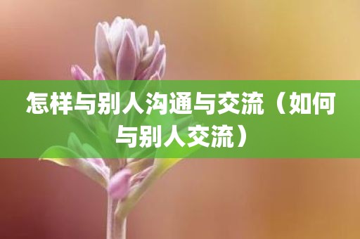 怎样与别人沟通与交流（如何与别人交流）