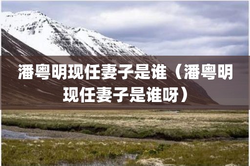 潘粤明现任妻子是谁（潘粤明现任妻子是谁呀）