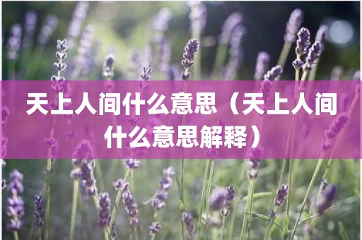 天上人间什么意思（天上人间什么意思解释）