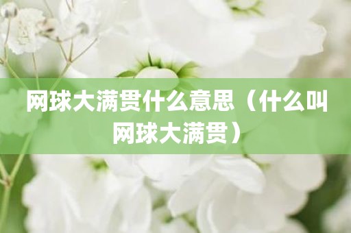 网球大满贯什么意思（什么叫网球大满贯）