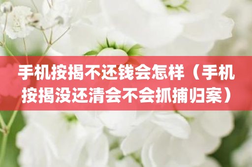 手机按揭不还钱会怎样（手机按揭没还清会不会抓捕归案）