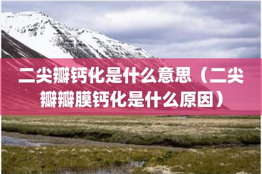 二尖瓣钙化是什么意思（二尖瓣瓣膜钙化是什么原因）