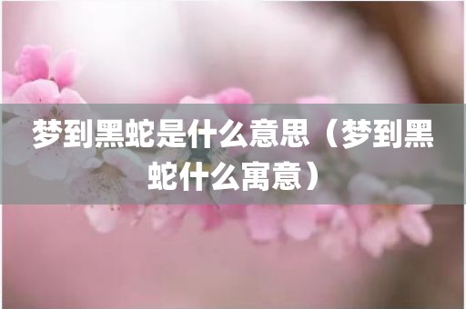 梦到黑蛇是什么意思(梦到黑蛇什么寓意)