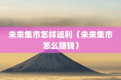 未来集市怎样返利（未来集市怎么赚钱）