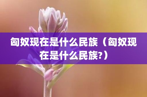 匈奴现在是什么民族（匈奴现在是什么民族?）
