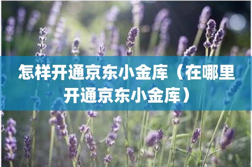 怎样开通京东小金库（在哪里开通京东小金库）