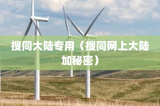 搜同大陆专用（搜同网上大陆加秘密）
