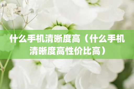 什么手机清晰度高（什么手机清晰度高性价比高）