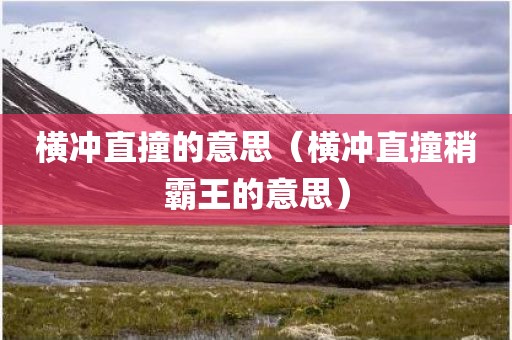横冲直撞的意思（横冲直撞稍霸王的意思）