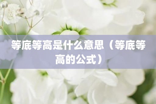 等底等高是什么意思（等底等高的公式）