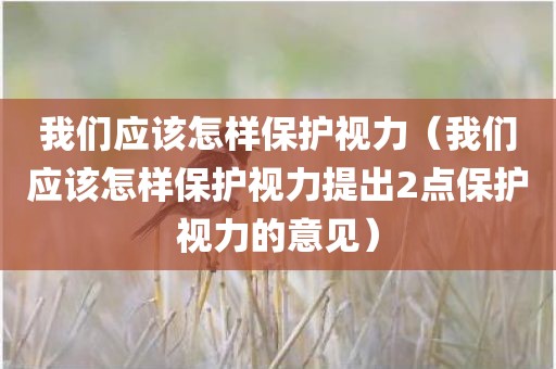 我们应该怎样保护视力（我们应该怎样保护视力提出2点保护视力的意见）