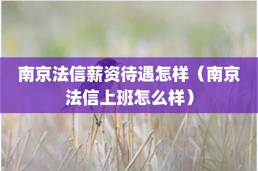 南京法信薪资待遇怎样（南京法信上班怎么样）