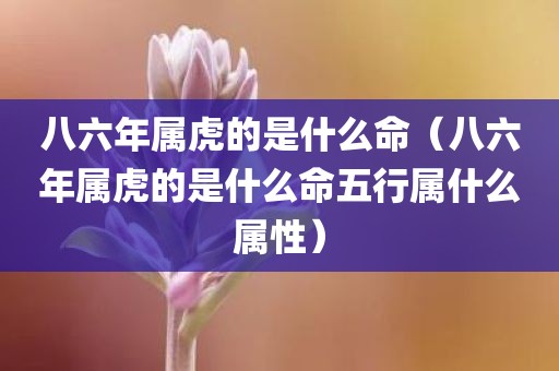 八六年属虎的是什么命（八六年属虎的是什么命五行属什么属性）