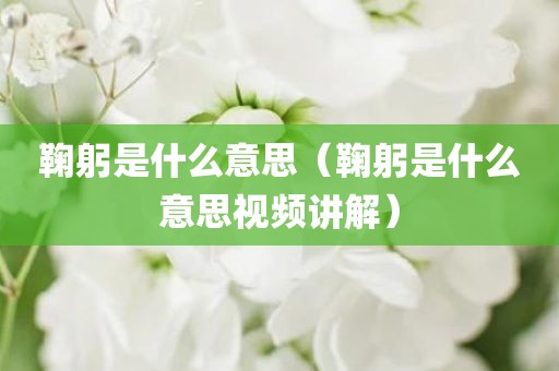 鞠躬是什么意思（鞠躬是什么意思视频讲解）