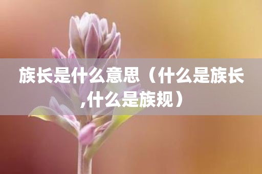 族长是什么意思（什么是族长,什么是族规）