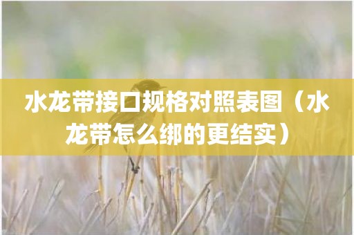 水龙带接口规格对照表图（水龙带怎么绑的更结实）