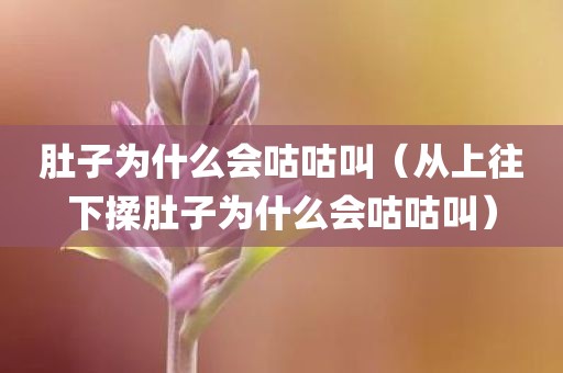 肚子为什么会咕咕叫（从上往下揉肚子为什么会咕咕叫）