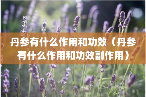 丹参有什么作用和功效（丹参有什么作用和功效副作用）