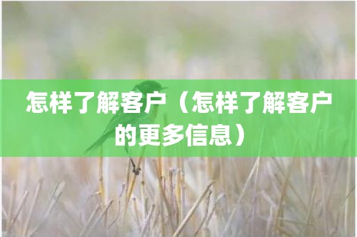怎样了解客户（怎样了解客户的更多信息）