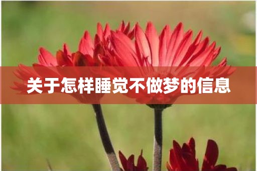 关于怎样睡觉不做梦的信息