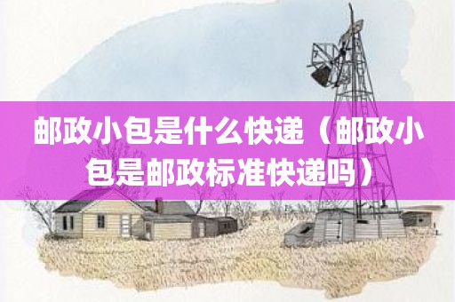 邮政小包是什么快递（邮政小包是邮政标准快递吗）