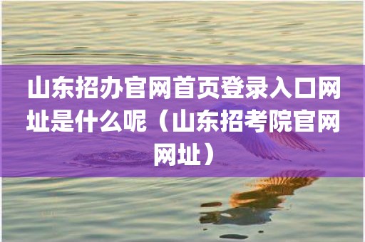 山东招办官网首页登录入口网址是什么呢（山东招考院官网网址）