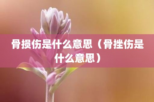 骨损伤是什么意思（骨挫伤是什么意思）
