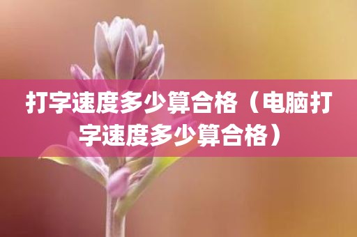 打字速度多少算合格（电脑打字速度多少算合格）
