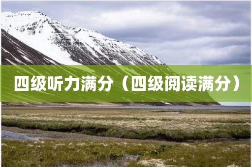 四级听力满分(四级阅读满分)